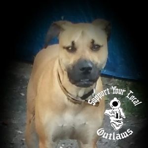 Meet your Posher, Sherry bluestar